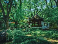 -上海醉白池公园