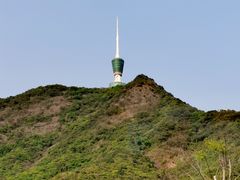 -梧桐山风景名胜区