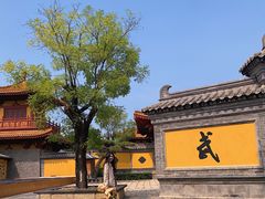 -台儿庄古城