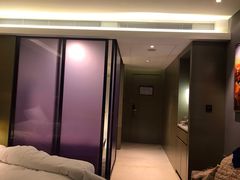 -南京禄口机场雅高铂尔曼大酒店