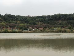 -飞凤山奥体公园