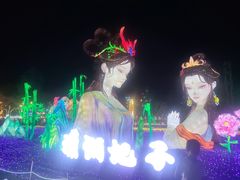 -洋湖国家湿地公园