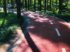 -黄海国家森林公园