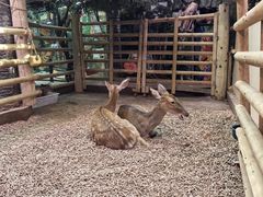 -正佳雨林生态植物园
