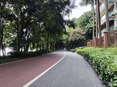 -南宁南湖公园