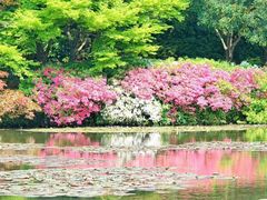 -杭州植物园
