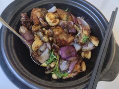 -鸽小宝(深圳首店)