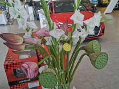 -郑州中升裕迪汽车销售服务有限公司