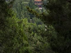 -龙口南山旅游景区