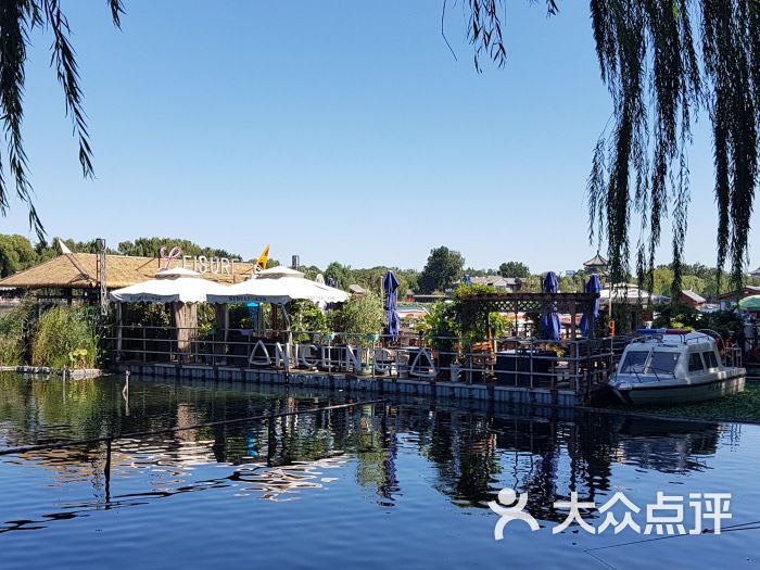 美食岛图片 - 第10张