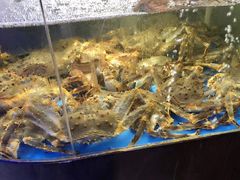 水产区-蟹之国·精品蟹料理(极地店)