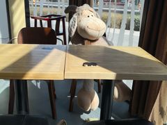 靠窗位-ZOO COFFEE动物园咖啡(望京锐创店)