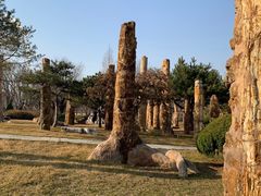 -石家庄市植物园