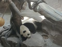 -宁波野生动物园
