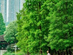 -重庆彩云湖湿地公园