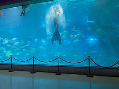 -福州罗源湾海洋世界旅游区