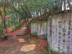 -莫干山风景区