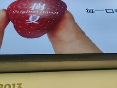 -树夏(建设路店)