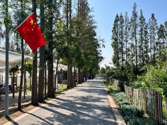 -前小桔亲子创意农场·草莓采摘·露营烧烤