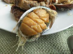 鲍鱼-视界美食自助餐厅·石家庄希尔顿酒店