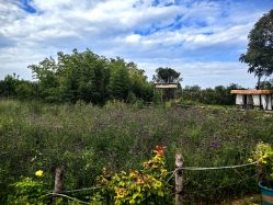 -DORA kids 朵拉儿童摄影花园店