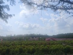 -嘉北郊野公园