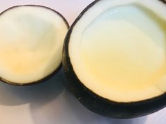 -志龙皇冠吃货椰子铺