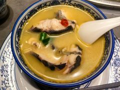 鲜汤活鱼-贺庄·活鱼馆(珠吉路店)