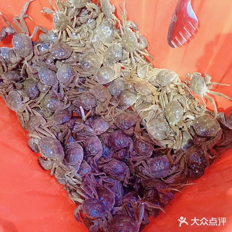 厦门集美顶级海鲜自助餐