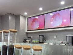 -雾与山茶(大禹城店)
