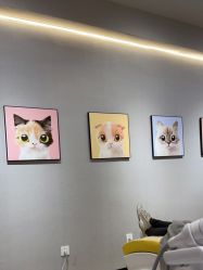 -洗脸猫·洗脸吧