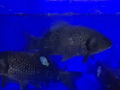 -大润发(南湖店)