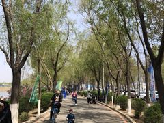 -丁香湖公园