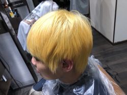 -崇尚GAVIN STYLE臻选