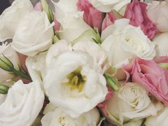 -重庆市江北嘴中央商务区中央公园