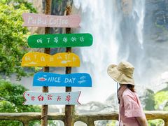 -洛阳白云山景区