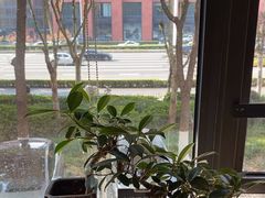 -竹里馆 ·茶食(奥体店)