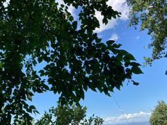 -阳台山自然风景区