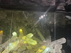 -湖南省地质博物馆