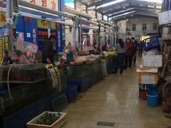 -山东柏宁水族批发广场