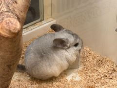 -龙猫仔乐园(惠福东路店)