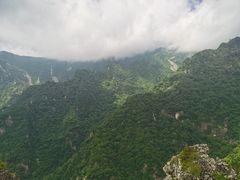 -牛背梁国家森林公园