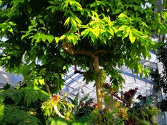 -国家植物园南园