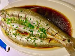 清蒸白水鱼-同庆楼(滨湖万达广场店)