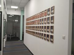 -菠萝国际教育留学·AL·IG·IB·AP·雅思托福(静安校区)