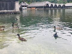 -柯尼希湖