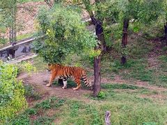 -石家庄市动物园