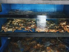 -马王堆海鲜水产市场