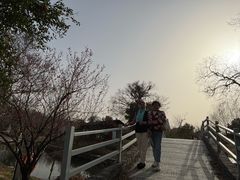-鹅湖玫瑰文化园