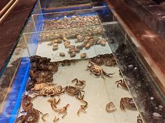 -鼎香缘海鲜自助火锅烤肉(锦辉购物广场店)